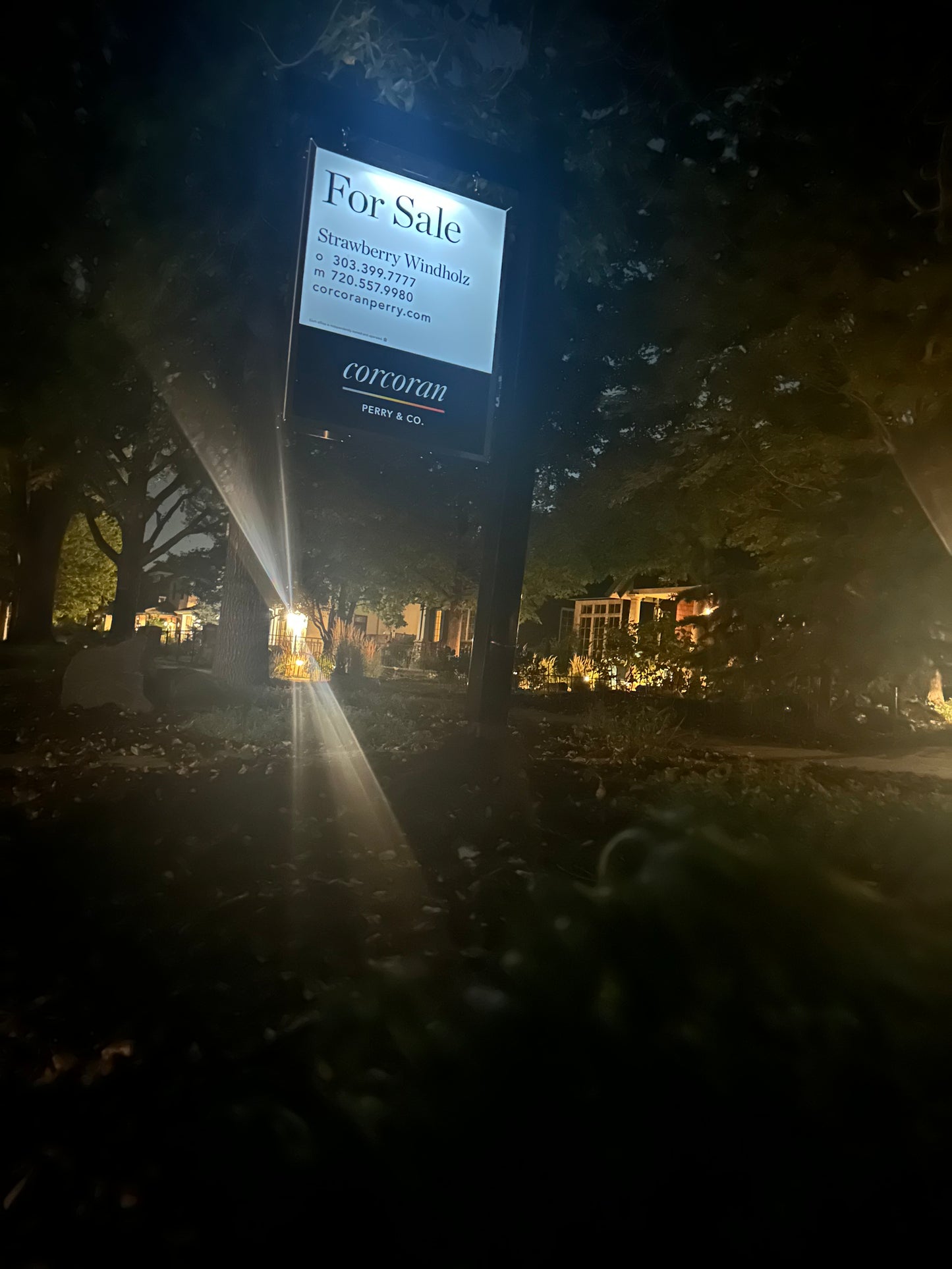 Classic Solar Sign (24"x30")